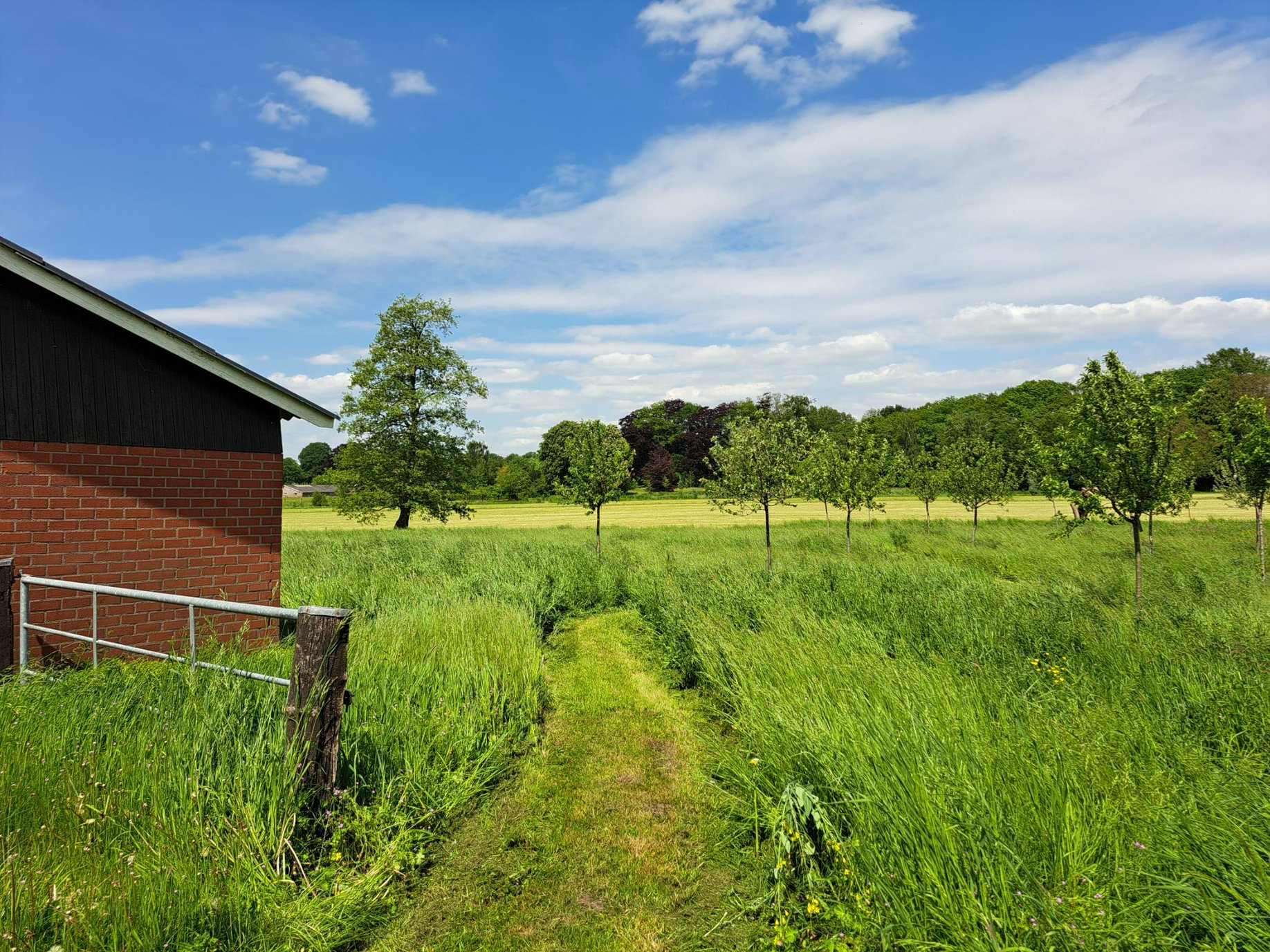 Uitzicht vanaf Nieuw Spitholt